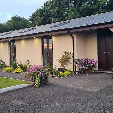 Ferienwohnung The Old Mountain Stables Caerllwyn Ganol Farm Newport  Exterior foto